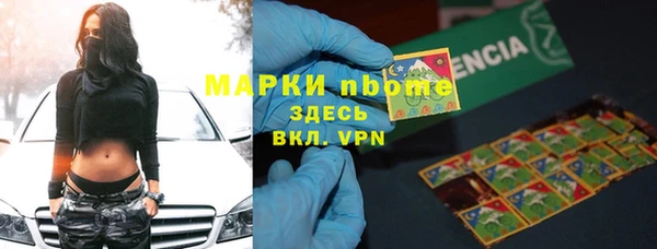 шишки Алзамай