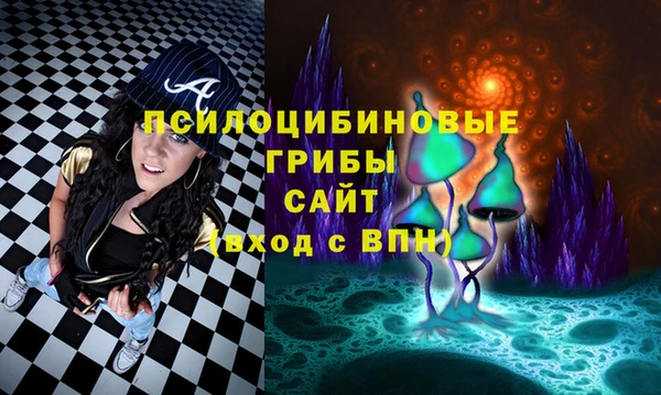 шишки Алзамай
