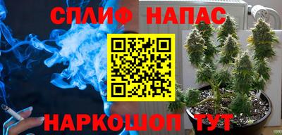 дмт Кимры