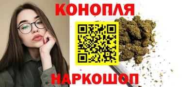spice Кинель