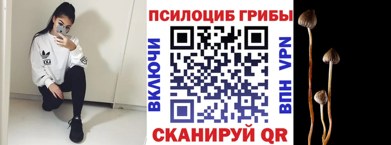 где продают наркотики  Лабытнанги  ссылка на мегу онион  Галлюциногенные грибы ЛСД 